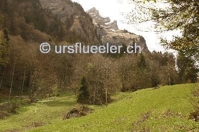 buechenhuette_1_bild-urs_flueeler