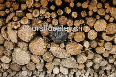 holz_3_hergiswil