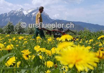 oberdorf_79