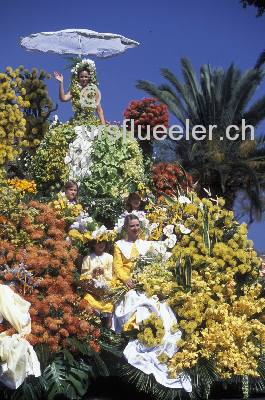 BLUMENFEST 80